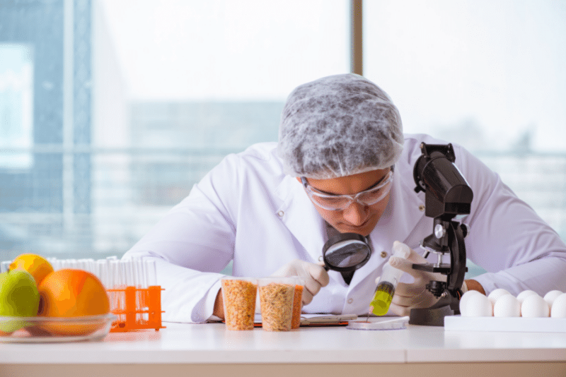 envasado de alimentos 2