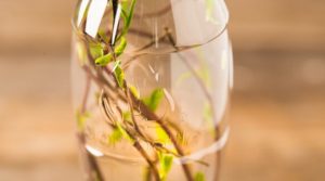 control de calidad 1